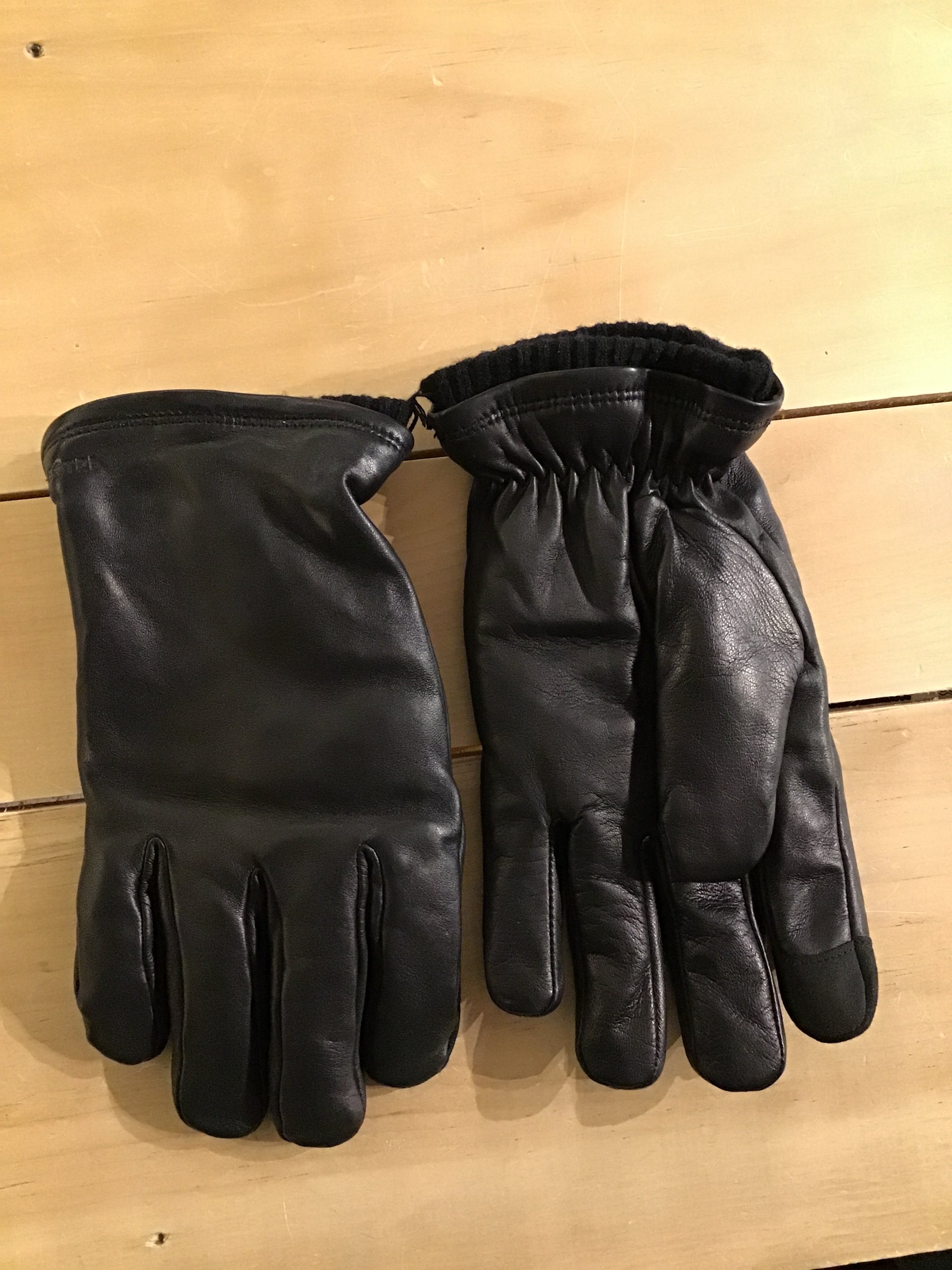Hestra Gloves