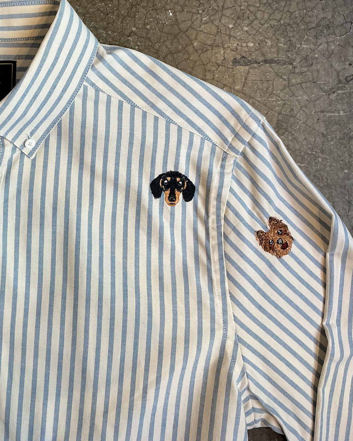 Portuguese Flannel  Montebelo Oxford Dogs